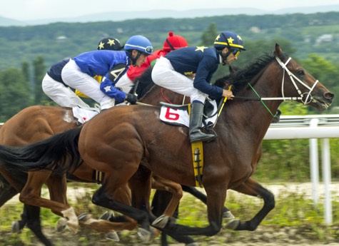 Ayr Races
